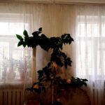 Продаётся 2-х комнатная квартира в центре города Струнино Владимирской области