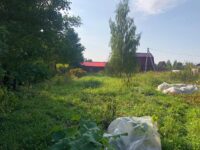 Земельный участок 8 соток в СНТ Ветеран в городе Струнино Александровского района Владимирской области